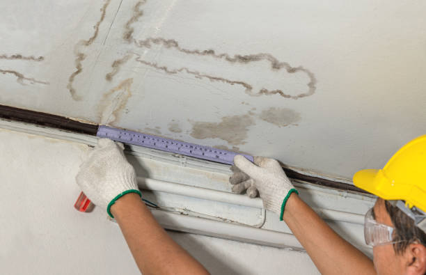 Reliable Water Damage contractor in Norwood, NJ by Water Damage Irwin